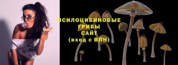 ECSTASY Абдулино